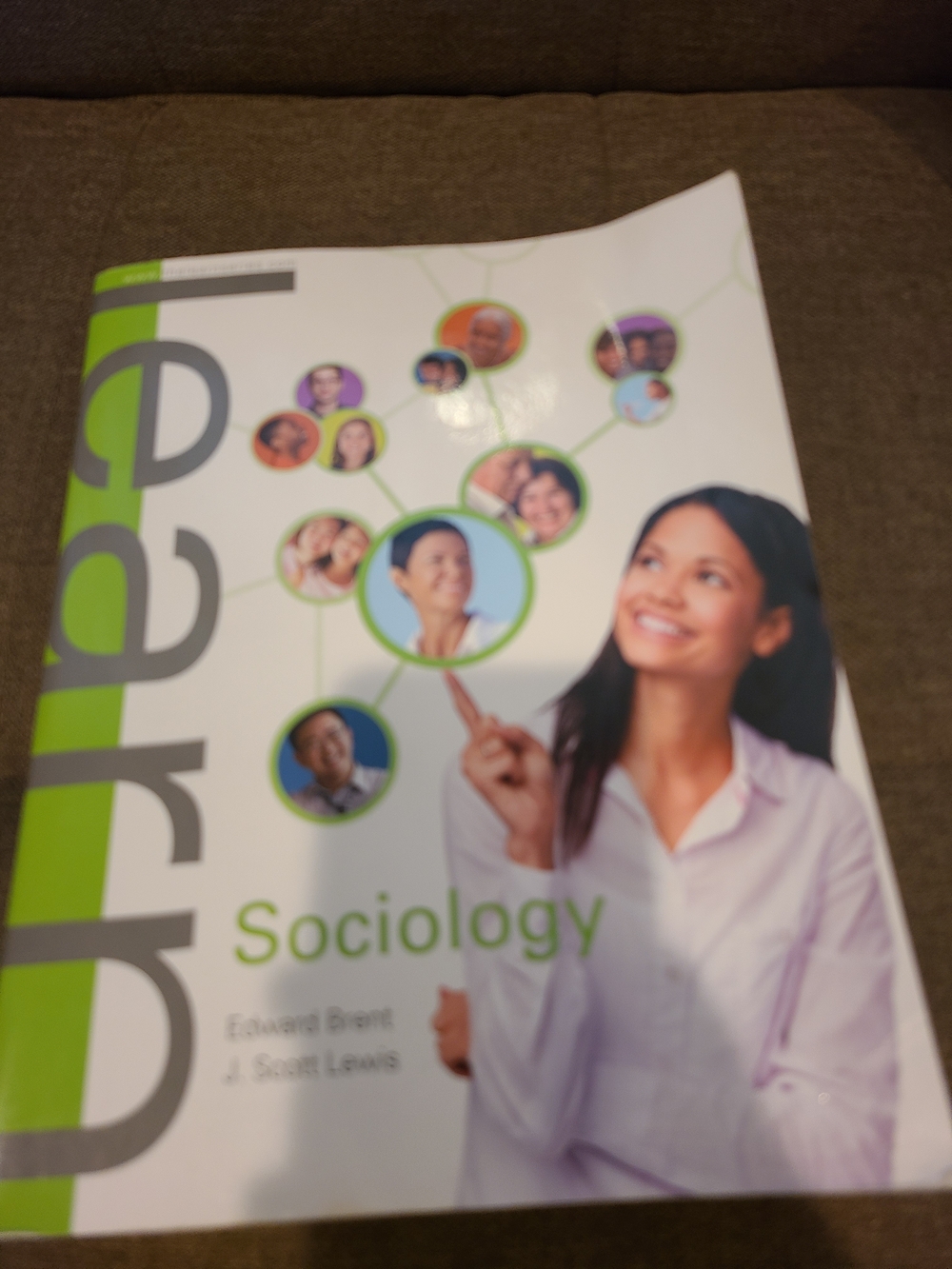Learn Sociology (1st Edition, 2013) by Edward Brent and J. Scott Lewis